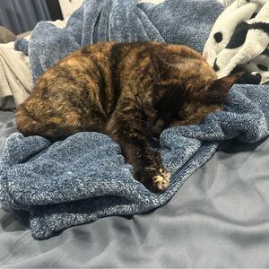 Meet your Posher, Brooke